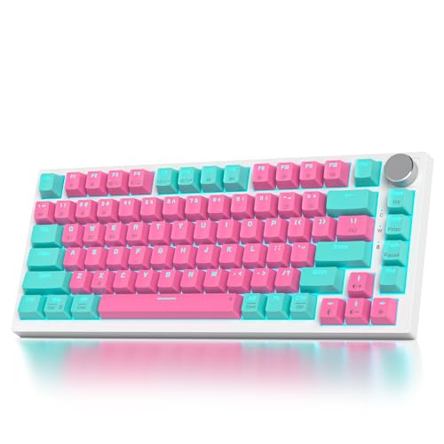 SOLIDEE mechanische Gaming Tastatur 75 Prozent mit Knopf,Bluetooth 5.0/2.4GHz/USB-C,Gasket Mount,hot-swap-fähige mechanische Tastatur mit RGB Hintergrundbeleuchtung,Cream Grey Switch(82 Miami) von SOLIDEE