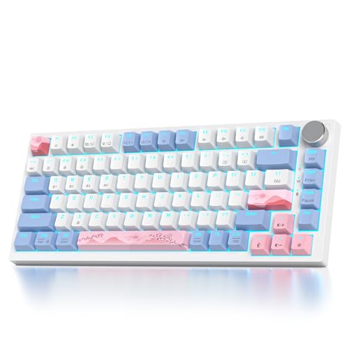 SOLIDEE mechanische Gaming Tastatur 75 Prozent mit Knopf,Bluetooth 5.0/2.4GHz/USB-C,Gasket Mount,hot-swap-fähige mechanische Tastatur mit RGB Hintergrundbeleuchtung,Cream Grey Switch(82 Pink) von SOLIDEE