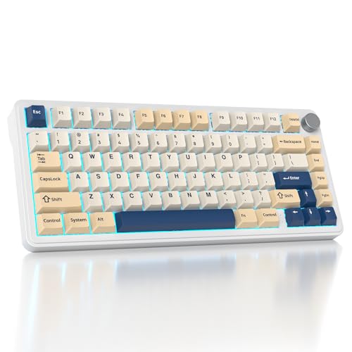 SOLIDEE mechanische Gaming Tastatur 75 Prozent mit Knopf,Bluetooth 5.0/2.4GHz/USB-C Gasket Mount Tastatur,hot-swap-fähige mechanische mit South Facing RGB Hintergrundbeleuchtung(Soy Milk) von SOLIDEE