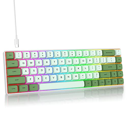 SOLIDEE mechanische gaming tastatur 65 prozent,68 Tasten kompakte mechanische tastatur RGB Hintergrundbeleuchtung,65 prozent tastatur mechanisch QWERTY,Roter Schalter für Win/Mac PC Laptop(68 Matcha) von SOLIDEE