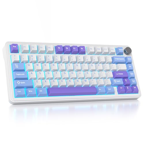 SOLIDEE mechanische Gaming Tastatur 75 Prozent mit Knopf,Bluetooth 5.0/2.4GHz/USB-C Gasket Mount Tastatur,hot-swap-fähige mechanische Tastatur mit South Facing RGB Hintergrundbeleuchtung(Starlight) von SOLIDEE