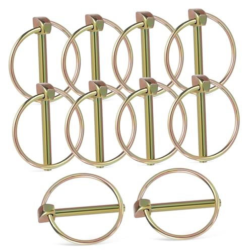 SOLUSTRE 10 Stück Anhänger-klappstecker Für Automobil Rasen Hardware Anhängerkupplung Verriegelung Lynchen Schüttgut Binden Schwer Kupplungssperrstift Pflicht Golden Eisen SOLUSTRE 10 Stück Anhänger-klappstecker Für Automobil Rasen Hardware Anhängerkupplung Verriegelung Lynchen Schüttgut Binden Schwer Kupplungssperrstift Pflicht Golden Eisen von SOLUSTRE