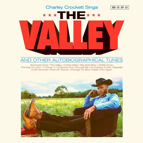 The Valley [Vinyl LP] von SON OF DAVY