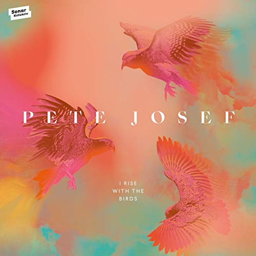 I Rise With the Birds [Vinyl LP] von SONAR KOLLEKTIV