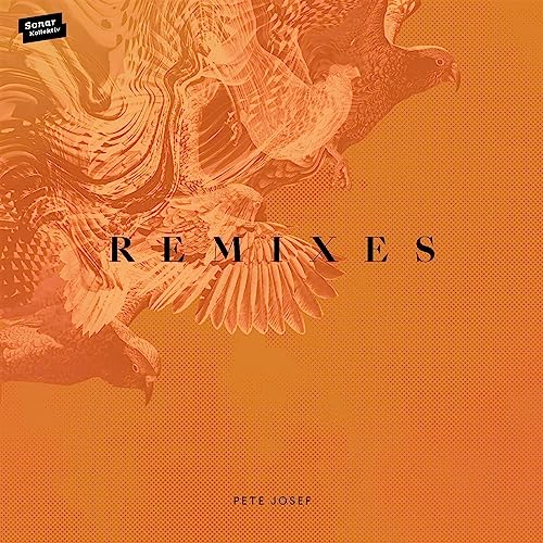 Remixes [Vinyl Maxi-Single] von SONAR KOLLEKTIV