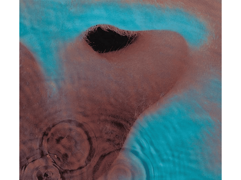 Pink Floyd - Meddle (CD) von SONY MUSIC CATALOG