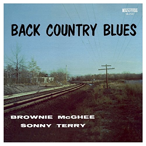 Back Country Blues: 1947-55 Savoy Recordings [Vinyl LP] von SOUTHERN ROUTES