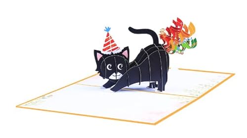 SPDYCESS 3D Pop Up Karte Geburtstag Katze, Geburtstagskarte Lustig Regenbogen Schwarz Katze Pop Up Karte für Katzenliebhaber Geburtstagskarten für Kinder Jungen Mädchen Tochter Sohn von SPDYCESS