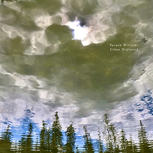 Urban Driftwood [Vinyl LP] von SPINSTER