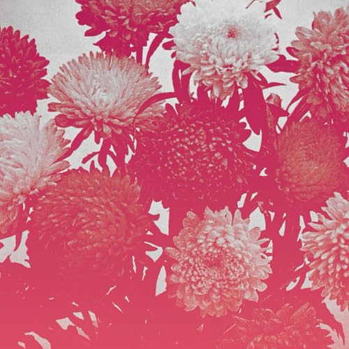 broken things [Vinyl LP] von SPINSTER