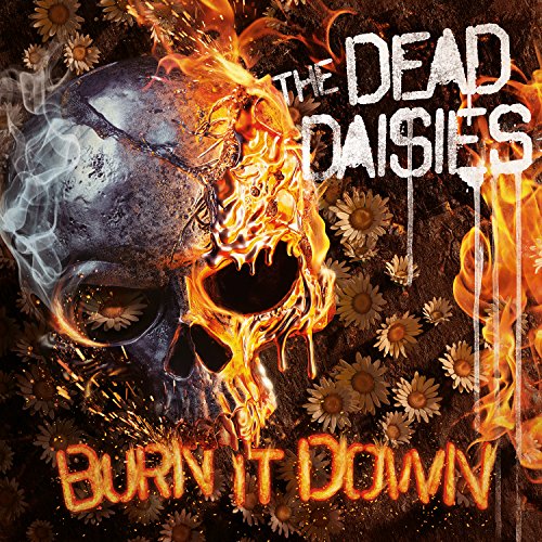 Burn It Down (CD Digi + Bonustrack + Poster) von SPITFIRE MUSIC