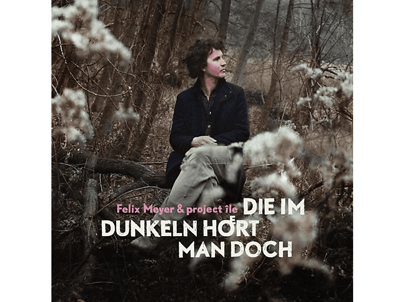 Felix Meyer - Die Im Dunkeln Hoert Man Doch (CD) von SPV RECORD