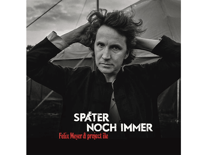 Felix Meyer - Später Noch Immer (CD) von SPV RECORD