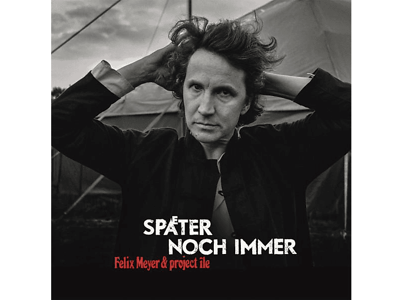 Felix Meyer - Später noch immer (2LP) (Vinyl) von SPV RECORD