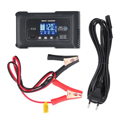 12 V 20A & 24 V 10A Smart Battery Ladegerät, Universal für Auto-Motorradboot, Automatisches 100-240V-Ladegerät (EU-Stecker) von SPYMINNPOO