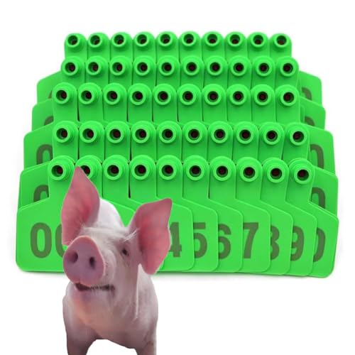500 Ohrhörer-Etikettetikett, Tier-Ohr-Tag-Nummer 001-100/101-200/201-300/301-400/401-500, bequem für das Viehmanagement, geeignet für Ziegen, Schafe, Schweine, (rot/gelb/grün/blau/orange/pink). von SQYDFDC