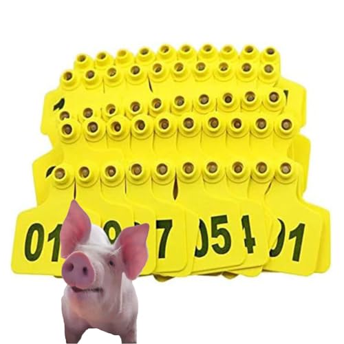 500 Ohrhörer-Etikettetikett, Tier-Ohr-Tag-Nummer 001-100/101-200/201-300/301-400/401-500, bequem für das Viehmanagement, geeignet für Ziegen, Schafe, Schweine, (rot/gelb/grün/blau/orange/pink). von SQYDFDC