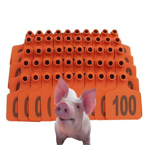 500 Ohrhörer-Etikettetikett, Tier-Ohr-Tag-Nummer 001-100/101-200/201-300/301-400/401-500, bequem für das Viehmanagement, geeignet für Ziegen, Schafe, Schweine, (rot/gelb/grün/blau/orange/pink). von SQYDFDC