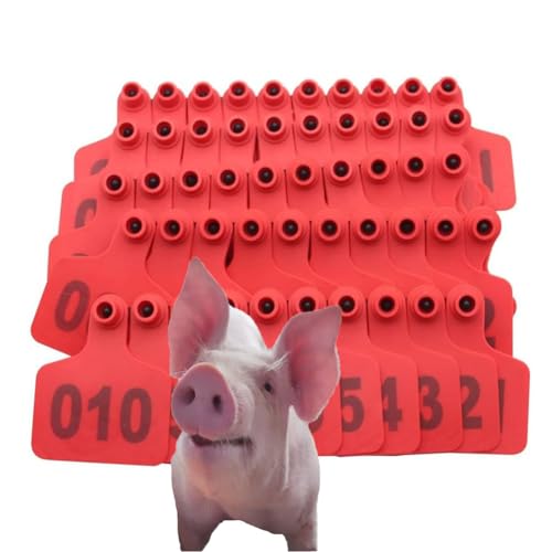 500 Ohrhörer-Etikettetikett, Tier-Ohr-Tag-Nummer 001-100/101-200/201-300/301-400/401-500, bequem für das Viehmanagement, geeignet für Ziegen, Schafe, Schweine, (rot/gelb/grün/blau/orange/pink). von SQYDFDC