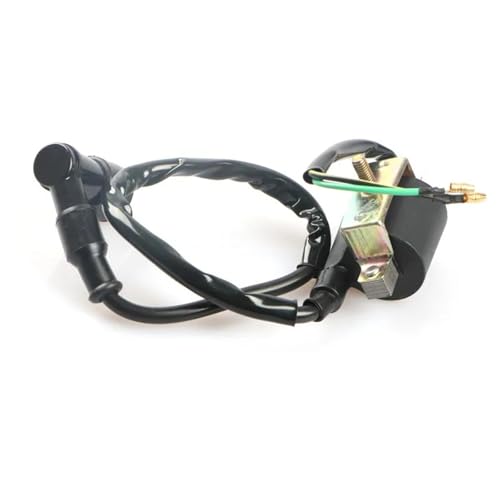 SRKATI Zündkerzen 2 Drähte 6 V Zündspule für Honda Z50 CT70 C70 CL70 XL70 SL70 für Kazuma Motorrad für JH70 Dirt Pit Bike Zündungskabel von SRKATI