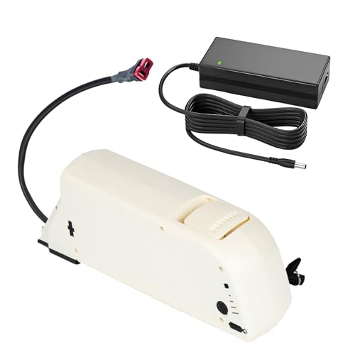 SSCYHT 36-V-E-Bike-Akku, 36 V, 15 Ah, 21 Ah, 18 Ah, Lithium-Akku, 48 V, 14 Ah, 10,4 Ah, E-Bike-Akkus mit Ladegerät und Griff für 200 W – 800 W Motor-Kit,36v18ah t Plug SSCYHT 36-V-E-Bike-Akku, 36 V, 15 Ah, 21 Ah, 18 Ah, Lithium-Akku, 48 V, 14 Ah, 10,4 Ah, E-Bike-Akkus mit Ladegerät und Griff für 200 W – 800 W Motor-Kit,36v18ah t Plug von SSCYHT