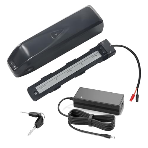 SSCYHT 48-V-Elektrofahrradakku, 36 V, 10 Ah, 15 Ah, Lithiumbatterie, 48 V, 10 Ah, 14 Ah, E-Bike-Akkus für 250 W – 700 W Motoren mit Ladegerät und 5-adrigem Anschluss,48v12.8ah Anderson von SSCYHT