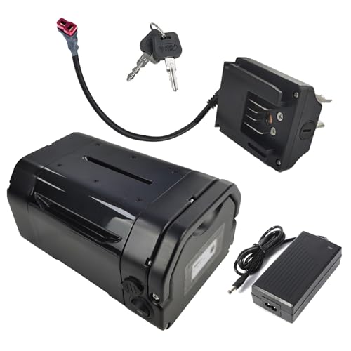 SSCYHT 48-Volt-E-Bike-Akku, 36 V, 12 Ah, 13,6 Ah, 14 Ah, Lithium-Akku, 48 V, 7,8 Ah, 10,5 Ah, Ersatzakkus mit Ladegerät und 4-poligem Anschluss für 250 W – 550 W Motorkit,48v8.7ah t Plug SSCYHT 48-Volt-E-Bike-Akku, 36 V, 12 Ah, 13,6 Ah, 14 Ah, Lithium-Akku, 48 V, 7,8 Ah, 10,5 Ah, Ersatzakkus mit Ladegerät und 4-poligem Anschluss für 250 W – 550 W Motorkit,48v8.7ah t Plug von SSCYHT