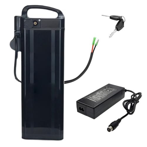 SSCYHT 48-Volt-Elektrofahrradakku, 48 V 20 Ah, Lithiumbatterie, 48 V 15 Ah, 30 Ah, 25 Ah, E-Bike-Akkus für 250 W – 1500 W Motoren mit Ladegerät und 2-adrigem Anschluss,48v15ah Bullet von SSCYHT