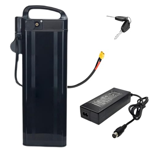 SSCYHT 48-Volt-Elektrofahrradakku, 48 V 20 Ah, Lithiumbatterie, 48 V 15 Ah, 30 Ah, 25 Ah, E-Bike-Akkus für 250 W – 1500 W Motoren mit Ladegerät und 2-adrigem Anschluss,48v25ah xt60 von SSCYHT