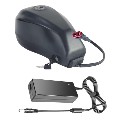 SSCYHT 52-V-E-Bike-Akku, 48 V, 20 Ah, Lithium-Akku, 36 V, Elektrofahrrad-Akkus, 60 V, Li-Ionen-Akkus, 72 V, mit Ladegerät für 250 W – 1500 W Motor-Kit,48v20ah t Plug SSCYHT 52-V-E-Bike-Akku, 48 V, 20 Ah, Lithium-Akku, 36 V, Elektrofahrrad-Akkus, 60 V, Li-Ionen-Akkus, 72 V, mit Ladegerät für 250 W – 1500 W Motor-Kit,48v20ah t Plug von SSCYHT