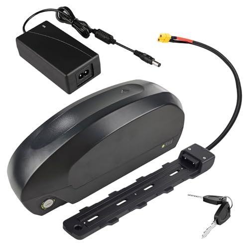 SSCYHT 52 Volt Ebike-Akku 48 V 20 Ah Lithium-Akku 36 V 20 Ah 30 Ah 25 Ah Elektrofahrrad-Akkus 60 V mit Ladegerät und 6-Kern-Anschluss für 250 W – 1100 W Motor-Kit,48v20ah xt60 von SSCYHT