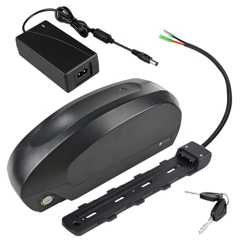 SSCYHT 52 Volt Ebike-Akku 48 V 20 Ah Lithium-Akku 36 V 20 Ah 30 Ah 25 Ah Elektrofahrrad-Akkus 60 V mit Ladegerät und 6-Kern-Anschluss für 250 W – 1100 W Motor-Kit,52v20ah Bullet von SSCYHT
