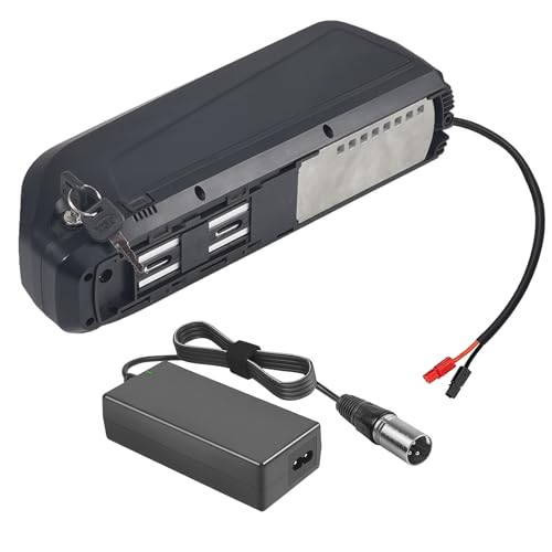 SSCYHT E-Bike-Akku 36 V 24 Ah 20,8 Ah 28 Ah Lithium-Akku 48 V 21 Ah 15,6 Ah Elektrofahrrad-Akkus 52 V mit Ladegerät und 6-adrigem Anschluss für 250 W – 1000 W Motor-Kit,48v21ah Anderson von SSCYHT