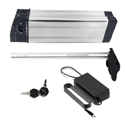 SSCYHT Ebike-Akku 48 V 30 Ah 13 Ah 15 Ah 25 Ah 20 Ah Lithium-Akku 36 V 10 Ah Elektrofahrrad-Akkus mit Ladegerät und Griff für 200 W – 1500 W Motoren,48v25ah 420mm SSCYHT Ebike-Akku 48 V 30 Ah 13 Ah 15 Ah 25 Ah 20 Ah Lithium-Akku 36 V 10 Ah Elektrofahrrad-Akkus mit Ladegerät und Griff für 200 W – 1500 W Motoren,48v25ah 420mm von SSCYHT