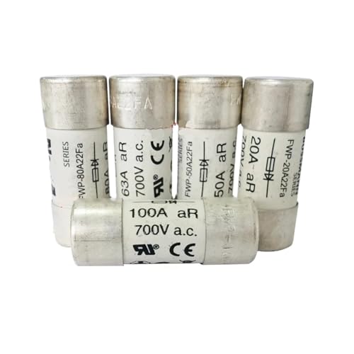 10PCS Sicherung FWP-20A22Fa FWP-32A22Fa FWP-50A22Fa FWP-63A22Fa FWP-100A22Fa 6A 20A 25A 32A 40A 50A 63A 80A 100A 700V(FWP-80A22Fa 80A) von SSDXFJZR