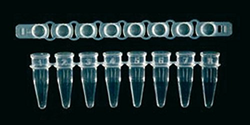S.S.I. 840555 Gewölbte Kappe für PCR Microtube Ultraflux, Blau, 12 Stück von SSI