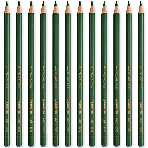 STABILO All Aquarell-Effekt-Bleistifte, 12 Stück, Grün von STABILO