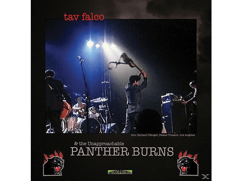 Tav Falco, The Unapproachable Panther Burns - ADMINISTRATOR BLUES (Vinyl) von STAG-O-LEE
