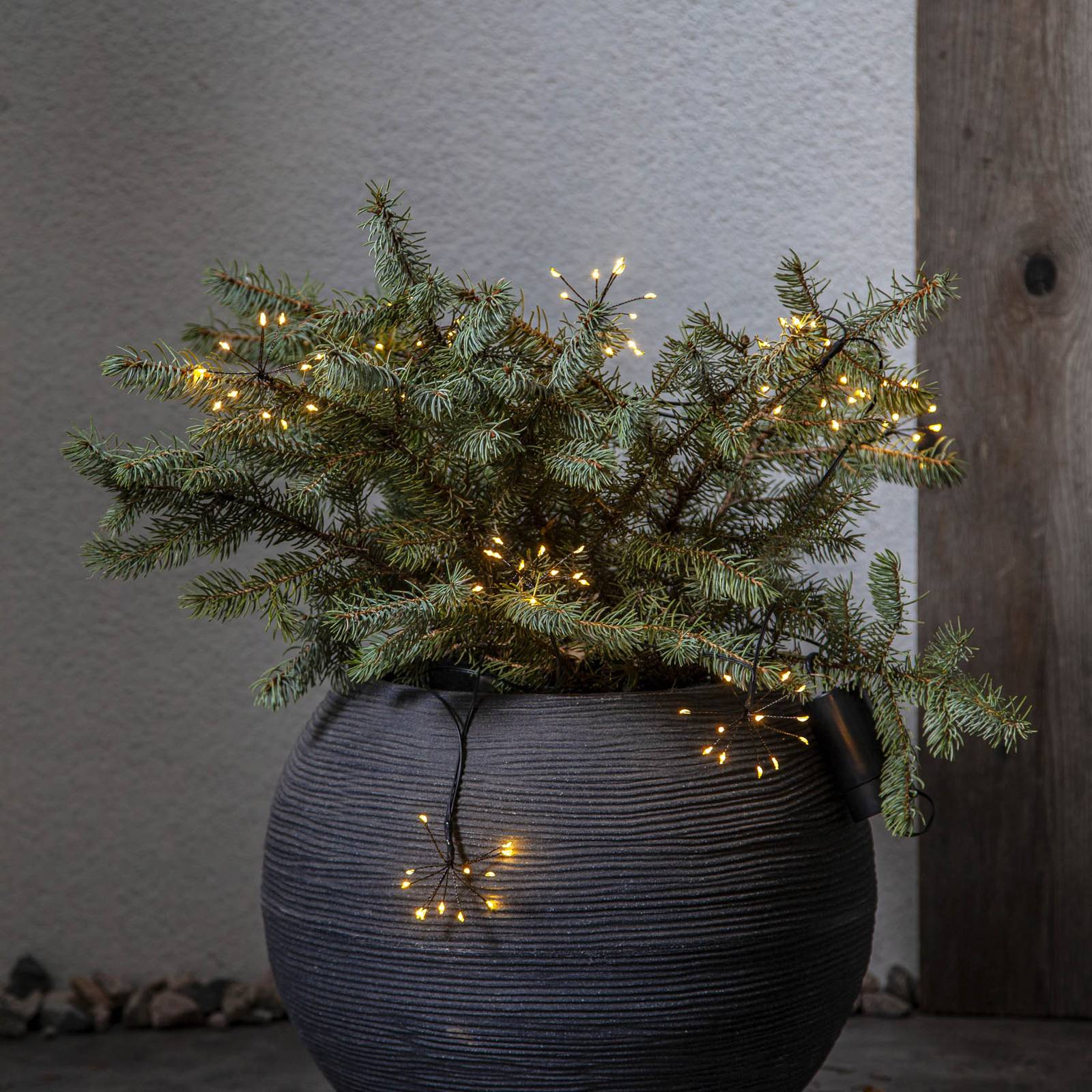 LED-Lichterkette Dew Drops Flower LED-Lichterkette Dew Drops Flower von STAR TRADING