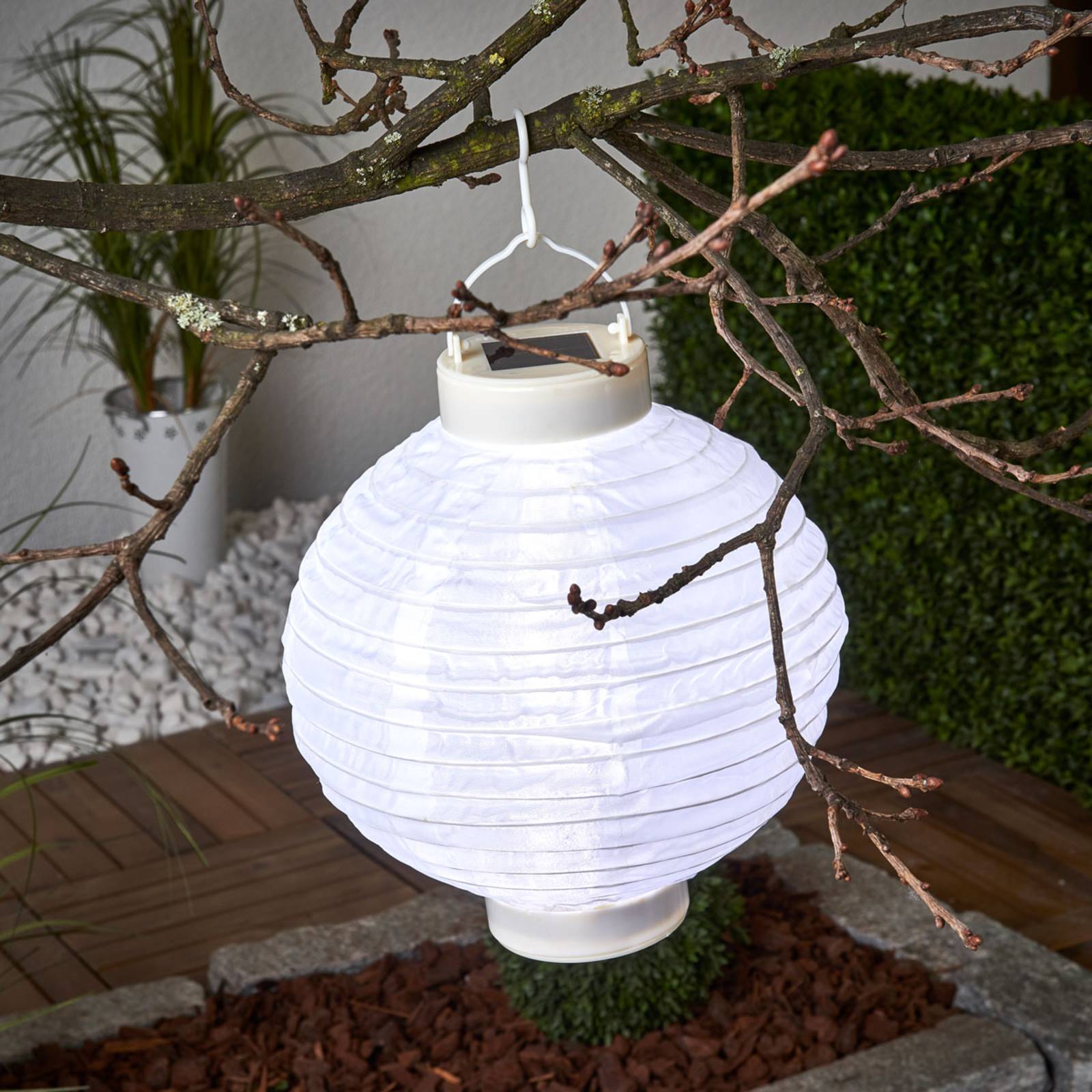 LED-Solar-Lampion Jerrit 20 cm, weiß von STAR TRADING