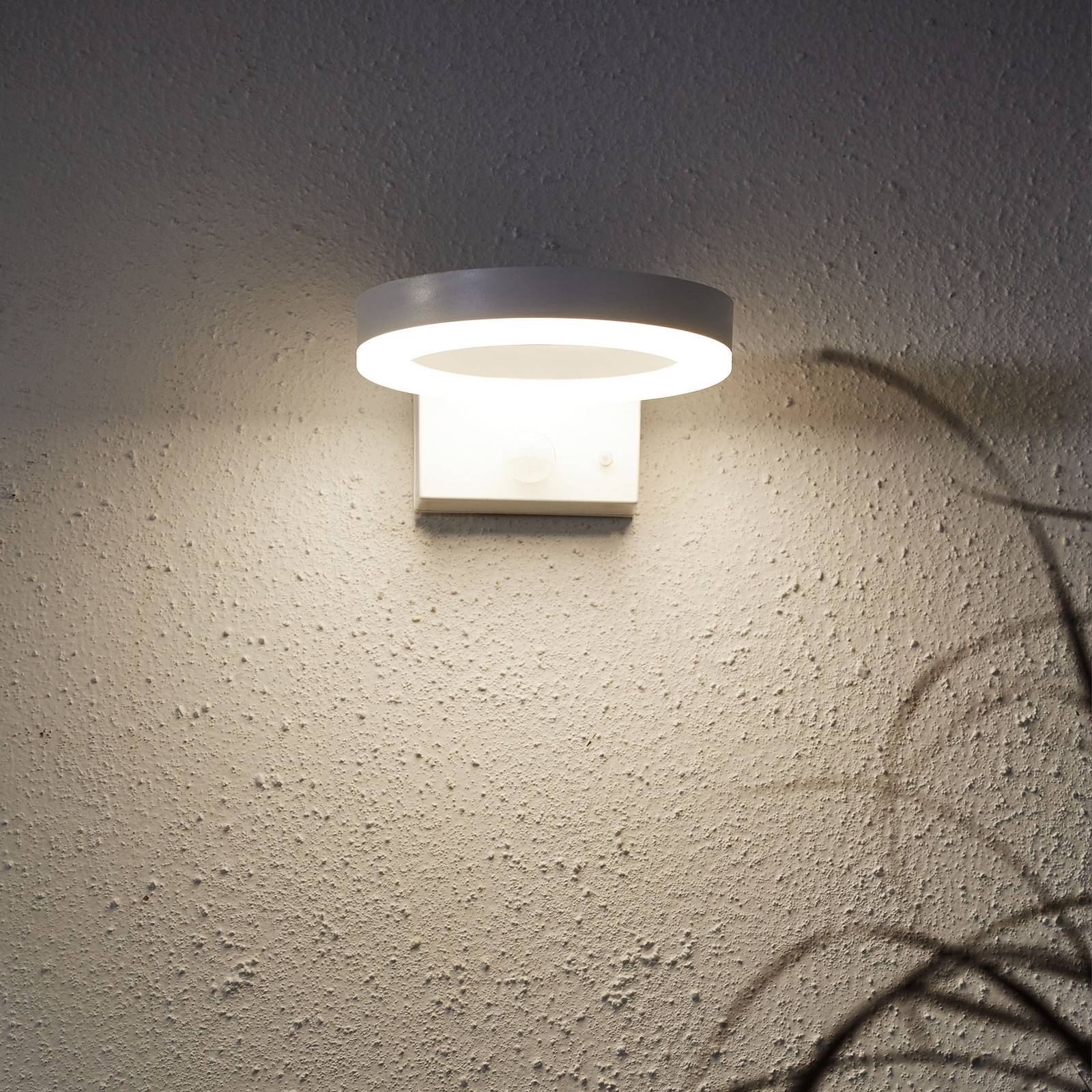 LED-Solar-Wandleuchte Vidi mit Bewegungsmelder LED-Solar-Wandleuchte Vidi mit Bewegungsmelder von STAR TRADING