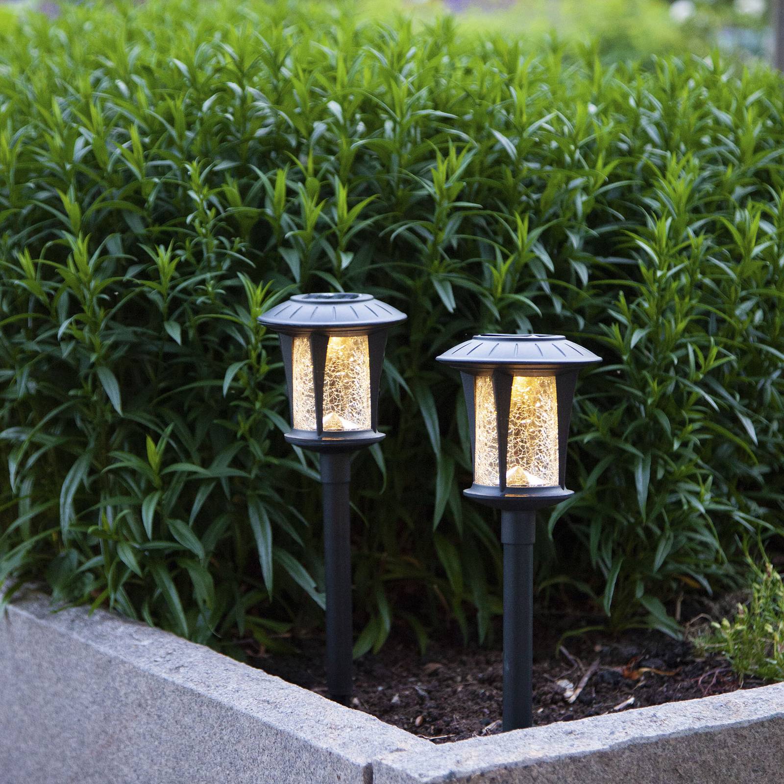 LED-Solarlampen Monaco im 2er-Set LED-Solarlampen Monaco im 2er-Set von STAR TRADING