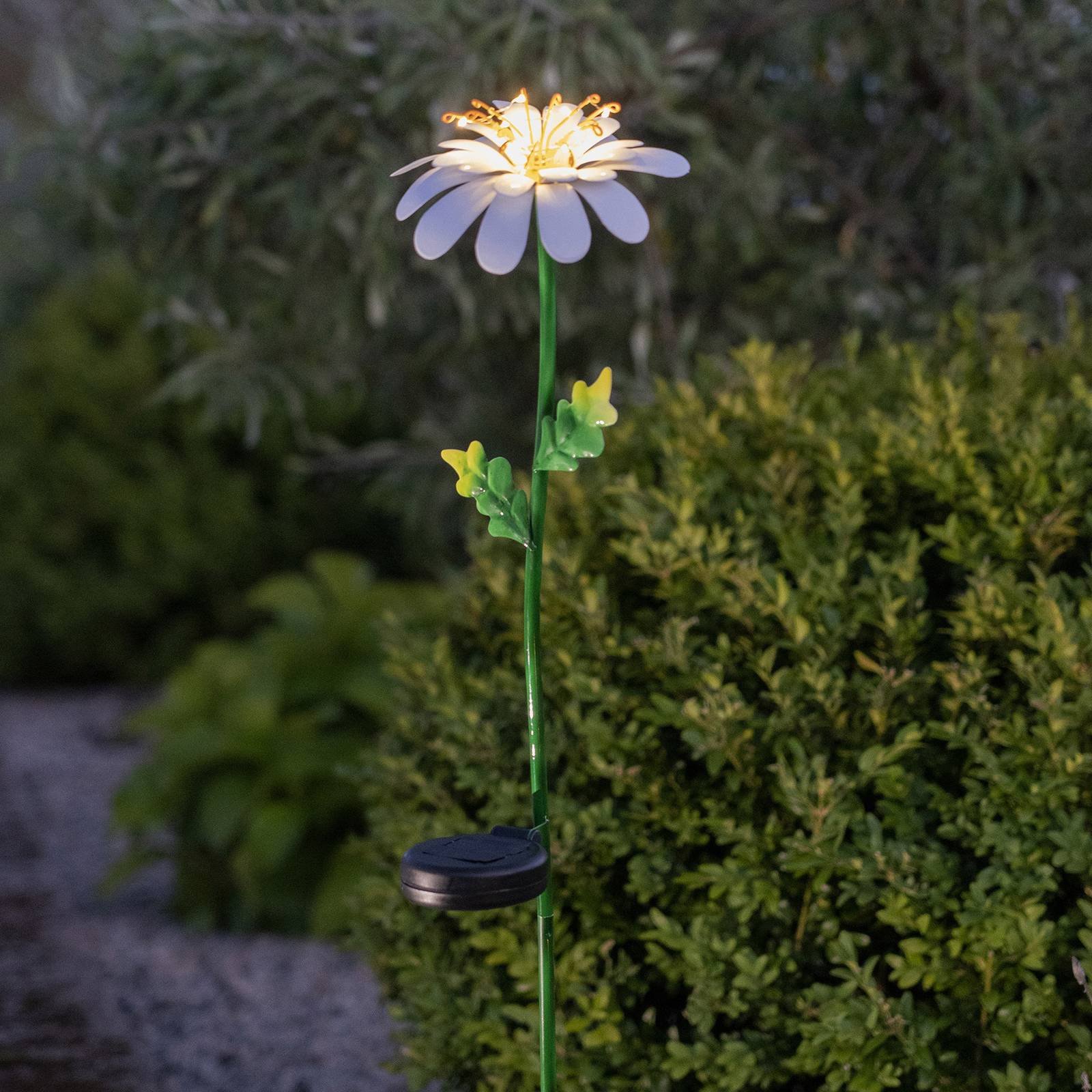 LED-Solarleuchte Daisy in Gänseblümchenform LED-Solarleuchte Daisy in Gänseblümchenform von STAR TRADING