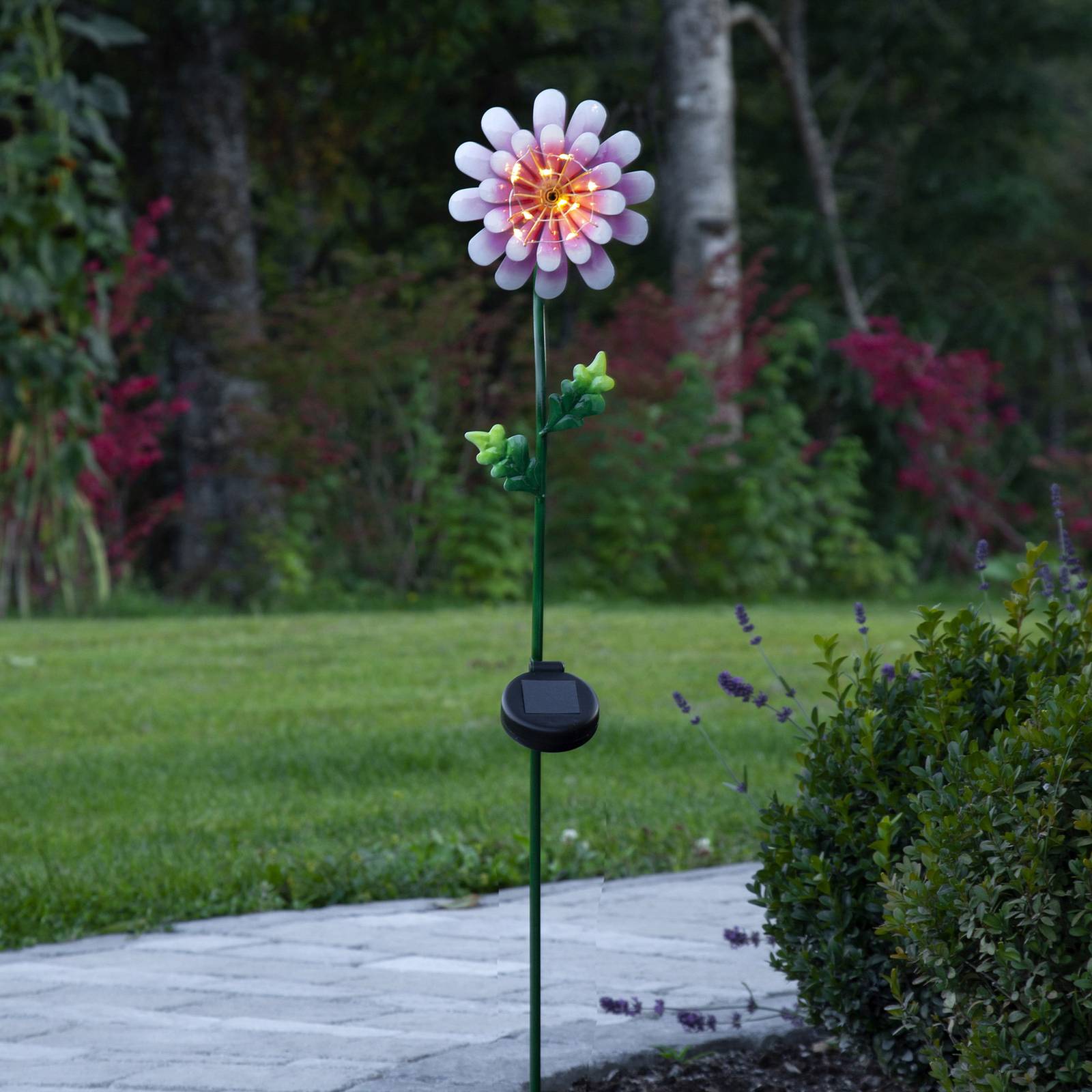 LED-Solarleuchte Pink Daisy in Blumen-Form von STAR TRADING