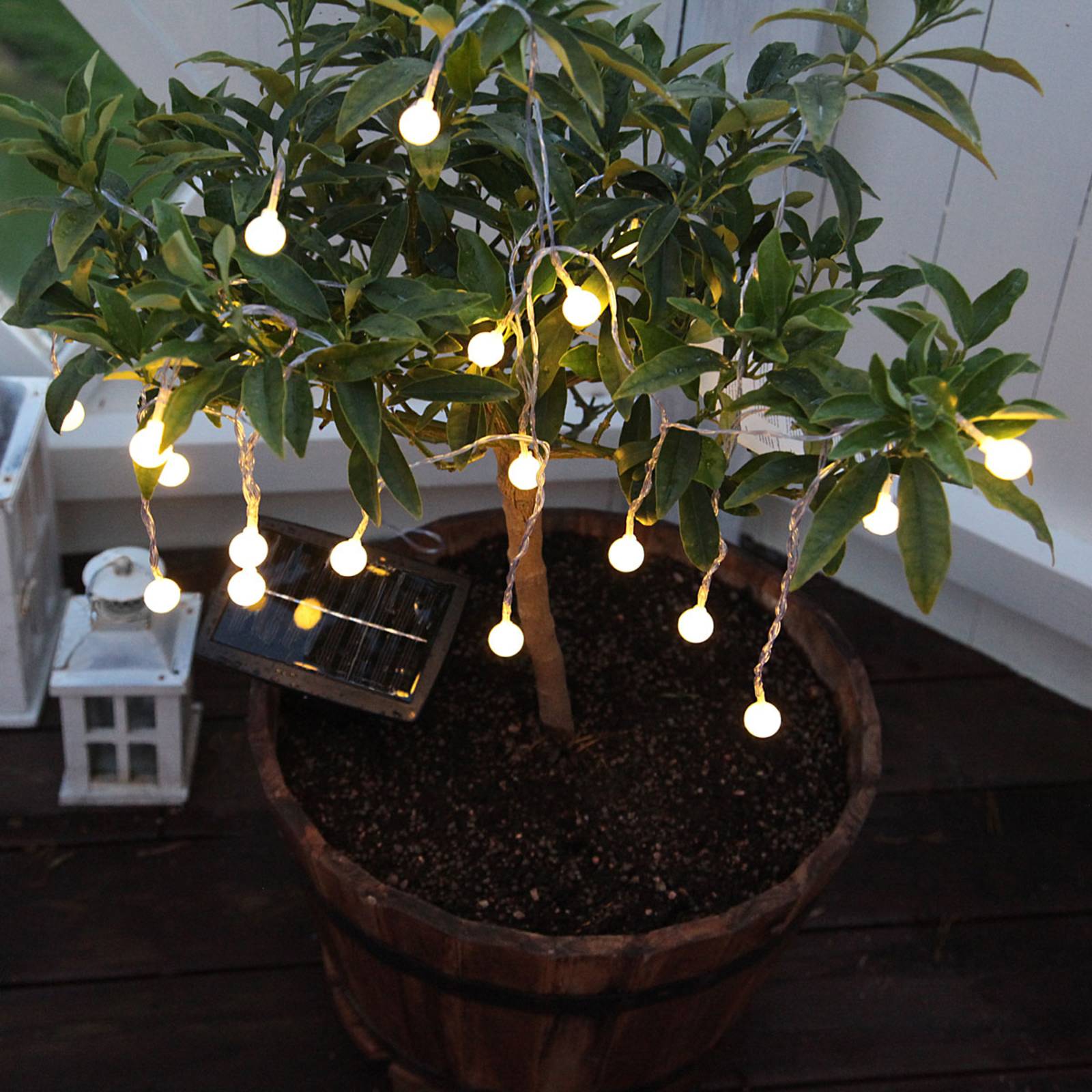Warmweiß leuchtende LED-Solar-Lichterkette Globini Warmweiß leuchtende LED-Solar-Lichterkette Globini von STAR TRADING