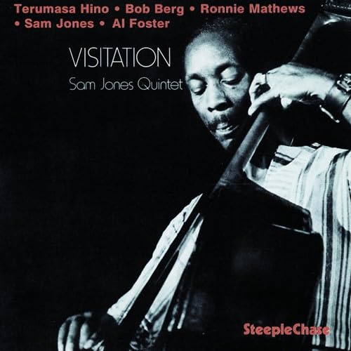 Visitations [Vinyl LP] von STEEPLECHASE