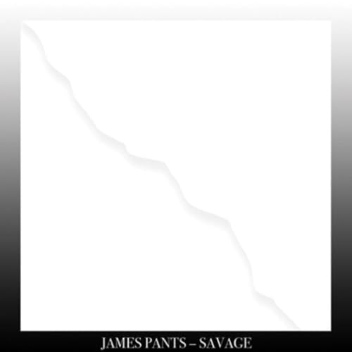 Savage (Lp+Mp3) [Vinyl LP] von Stones Throw