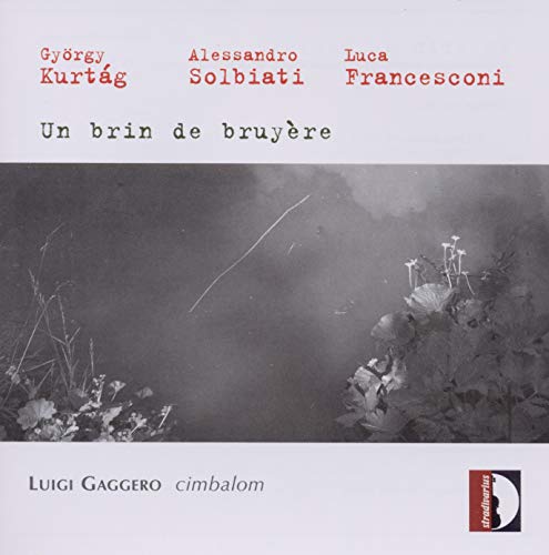 Un Brin de Bruyere von STRADIVARIUS - ITALI