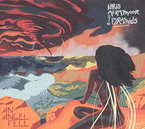 An Angel Fell [Vinyl LP] von STRUT RECORDS