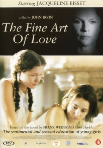 THE FINE ART OF LOVE - VARIOUS [DVD] von STUDIO CANAL